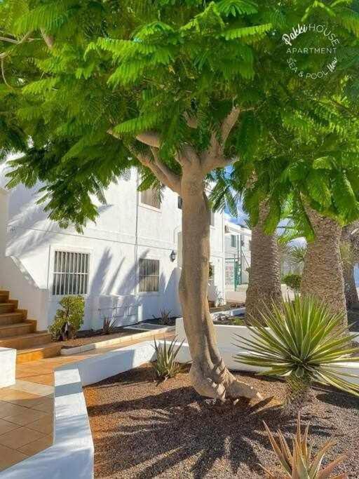 San Valentin Pakky House Apartment Коралео Екстериор снимка